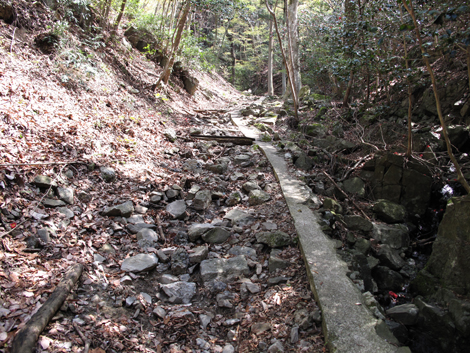 20140419hike (59)